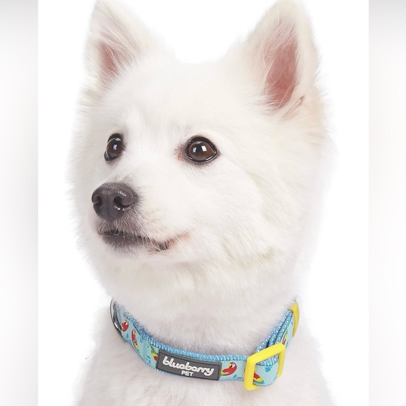 Blueberry Pet Dog Collar 🦜 - Picture 2 of 6